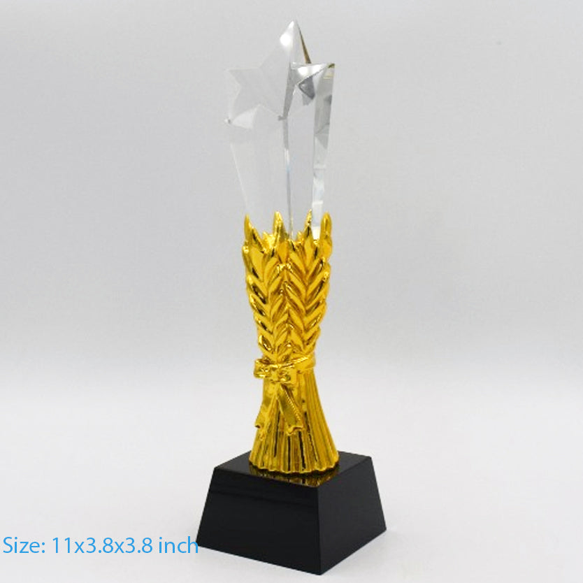 Sports Trophy-1